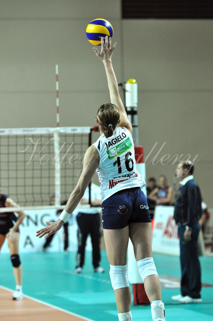 Asystel NO Muszynianka (31)